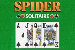 Play Spider Solitaire Big